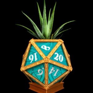 Arcane D20