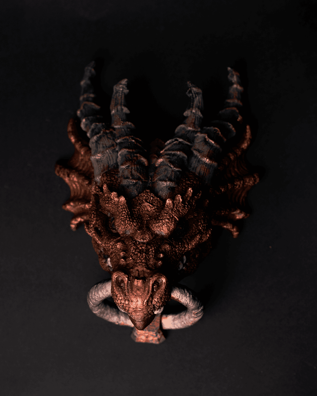 Dragon Door Knocker image 0