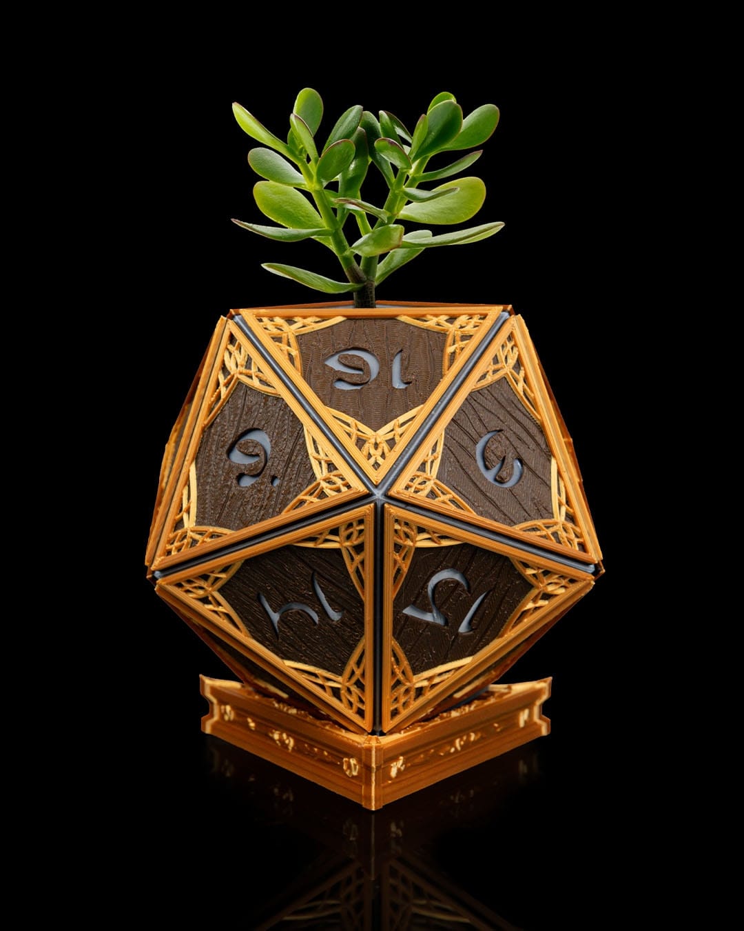 Elven D20 image 0