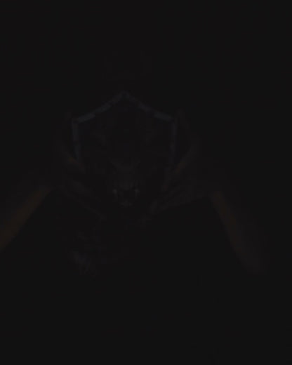 Ancient Dragon Head Trophy